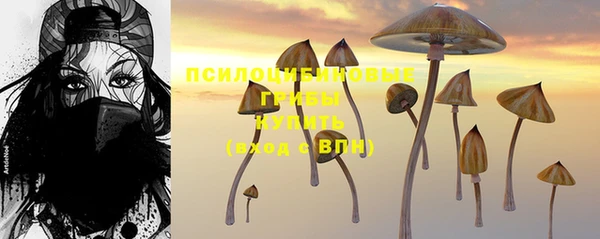 spice Верея