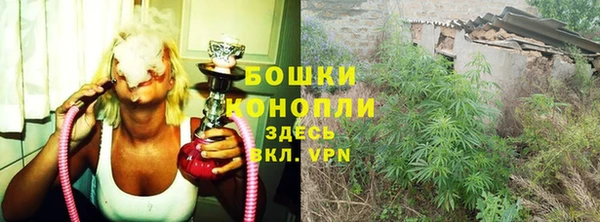 ешки Бронницы