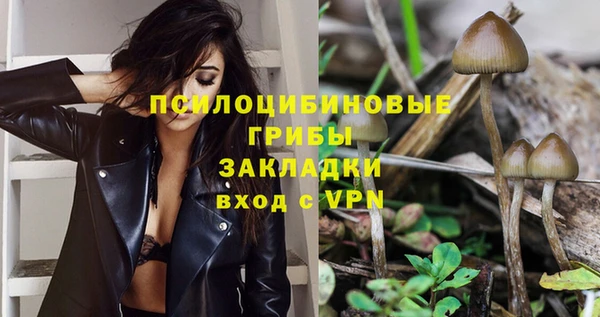 apvp Верхний Тагил