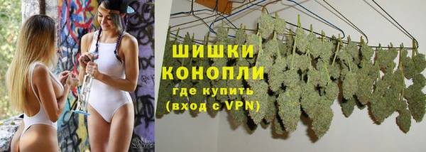 spice Верея