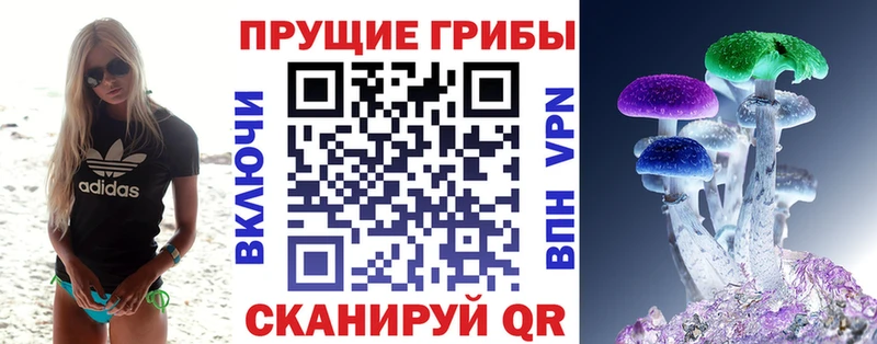 Псилоцибиновые грибы прущие грибы  ОМГ ОМГ ССЫЛКА  Горячий Ключ 